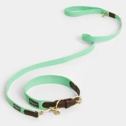 Collar Nomad Tales Bloom Menta Para Perros -Gatos Perros Suministros Tienda 326798 nomad tales bloom halsband mint 04 7