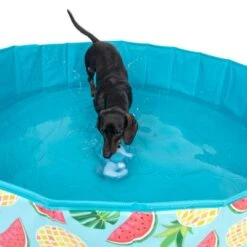 Piscina Para Perros TIAKI Con Cubierta 31 Piscina Para Perros TIAKI Con Cubierta -Gatos Perros Suministros Tienda 329014 tiaki seahorse fg 6664 7