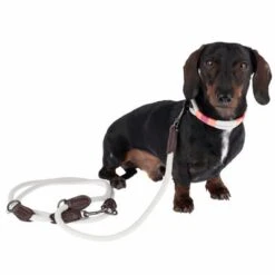 Collar Nomad Tales Spirit Piedra Para Perros -Gatos Perros Suministros Tienda 329197 329397 spirit xs fg 7690 3