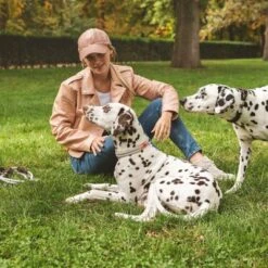 Collar Nomad Tales Spirit Piedra Para Perros -Gatos Perros Suministros Tienda 329197 nomad tales spirit halsband stone 04 4