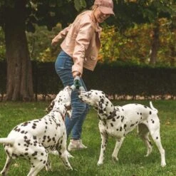 Cuerda Trébol Nomad Tales Spirit Juguete Para Perros -Gatos Perros Suministros Tienda 333014 nomad tales spirit spieltau kleeblatt 01 7