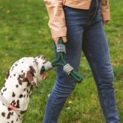 Cuerda Trébol Nomad Tales Spirit Juguete Para Perros -Gatos Perros Suministros Tienda 333014 nomad tales spirit spieltau kleeblatt 02 1