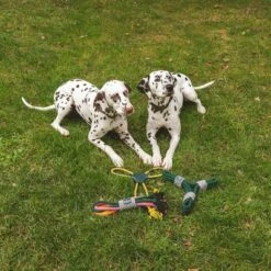 Cuerda Trébol Nomad Tales Spirit Juguete Para Perros -Gatos Perros Suministros Tienda 333014 nomad tales spirit spieltau kleeblatt 03 4