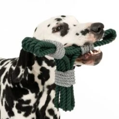 Cuerda Trébol Nomad Tales Spirit Juguete Para Perros -Gatos Perros Suministros Tienda 333014 spirit clover rope toy fg 0554 6