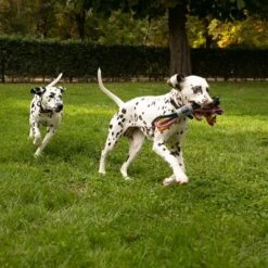 Cuerdas Varias Nomad Tales Spirit Multirope Juguete Para Perros -Gatos Perros Suministros Tienda 333098 nomad tales spirit multirope hs 02 8