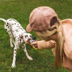 Cuerdas Varias Nomad Tales Spirit Multirope Juguete Para Perros -Gatos Perros Suministros Tienda 333098 nomad tales spirit multirope hs 05 3