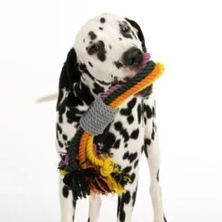 Cuerdas Varias Nomad Tales Spirit Multirope Juguete Para Perros -Gatos Perros Suministros Tienda 333098 spirit multirope fg 0527 1