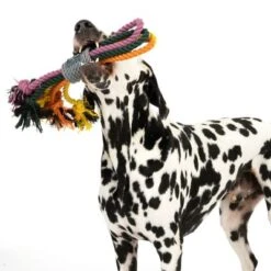 Cuerdas Varias Nomad Tales Spirit Multirope Juguete Para Perros -Gatos Perros Suministros Tienda 333098 spirit multirope fg 0530 3