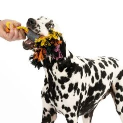 Cuerdas Varias Nomad Tales Spirit Multirope Juguete Para Perros -Gatos Perros Suministros Tienda 333098 spirit multirope fg 0536 2