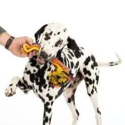 Cuerdas Varias Nomad Tales Spirit Multirope Juguete Para Perros -Gatos Perros Suministros Tienda 333098 spirit multirope fg 0537 5