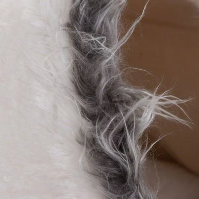 Cueva White Dots Para Mascotas 9 Cueva White Dots Para Mascotas - Imagen 7