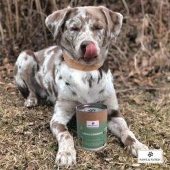 PAWS & PATCH Harina De Algas 7 PAWS & PATCH Harina De Algas -Gatos Perros Suministros Tienda 346896 paws patch seealgenmehl 250g hs 02 0