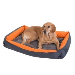 Cama Variabel Perros Y Gatos -Gatos Perros Suministros Tienda 36344 outdoor orange hundebett 12 2012 05 dsc4484 0