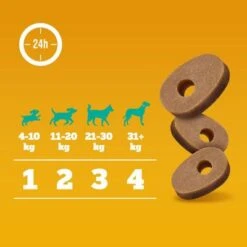 Pedigree Multivitaminas Para El Sistema Inmunitario -Gatos Perros Suministros Tienda 372107 pedigree multivitamins immunsystem hs 07 6