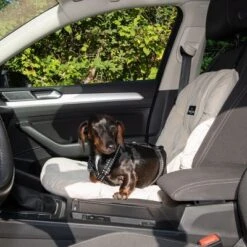 Asiento Para El Coche Nomad Tales Blush Para Perros, Beige -Gatos Perros Suministros Tienda 376802 nt dog car seat fg 4824 8