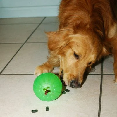 Starmark Pelota Portasnacks Para Perros 11 Starmark Pelota Portasnacks Para Perros - Imagen 9