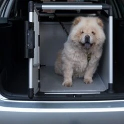 Jaula De Transporte Trixie De Aluminio -Gatos Perros Suministros Tienda 42815 trixie transportbox alu fg 3618 0