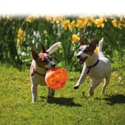 KONG Jumbler Pelota Para Perros -Gatos Perros Suministros Tienda 439783 kong jumbler im einsatz 1