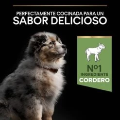 Purina Pro Plan Medium Puppy Sensitive Digestion Cordero Y Arroz 18 Purina Pro Plan Medium Puppy Sensitive Digestion Cordero Y Arroz -Gatos Perros Suministros Tienda 44142631 es es 221230 1 6