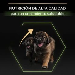 PURINA PRO PLAN Large Robust Puppy Healthy Start 14 PURINA PRO PLAN Large Robust Puppy Healthy Start -Gatos Perros Suministros Tienda 44142748 es es 221230 1 1 7