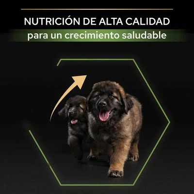 PURINA PRO PLAN Large Robust Puppy Healthy Start 6 PURINA PRO PLAN Large Robust Puppy Healthy Start - Imagen 4