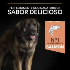 PURINA PRO PLAN Large Robust Adult Sensitive Skin Salmón -Gatos Perros Suministros Tienda 44152235 es es 221230 1 1 2