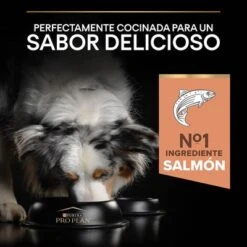 PURINA PRO PLAN Medium Adult Sensitive Skin -Gatos Perros Suministros Tienda 44153628 es es 221230 1 1