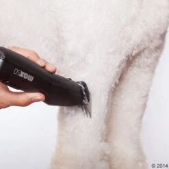 Máquina Cortapelo Moser Max50 -Gatos Perros Suministros Tienda 465281 schermaschine moser max 50 04 0