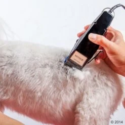 Máquina Cortapelo Moser 1400 -Gatos Perros Suministros Tienda 465374 schermaschine moser 1400 03 3