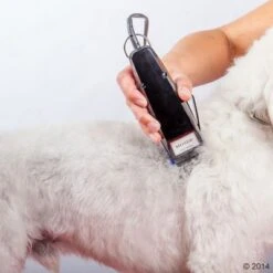 Máquina Cortapelo Moser 1400 -Gatos Perros Suministros Tienda 465374 schermaschine moser 1400 04 2