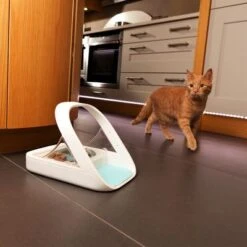 Comedero Automático SureFeed Microchip 14 Comedero Automático SureFeed Microchip -Gatos Perros Suministros Tienda 475256 surefeedmicrochip 3