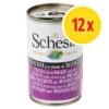 Pack Ahorro: Schesir 12 X 140 G 2 Pack Ahorro: Schesir 12 X 140 G -Gatos Perros Suministros Tienda 478241 schesir 12x140g 2