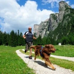 Cinturón De Canicross NEEWA 9 Cinturón De Canicross NEEWA -Gatos Perros Suministros Tienda 505647 hp neewa canicross jogging gurt im einsatz 3