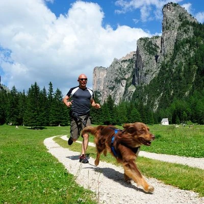 Cinturón De Canicross NEEWA 6 Cinturón De Canicross NEEWA - Imagen 4