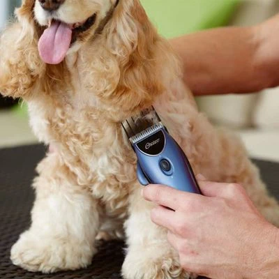 Set Máquina Cortapelo Para Mascotas Oster 220 V 13 Set Máquina Cortapelo Para Mascotas Oster 220 V - Imagen 11