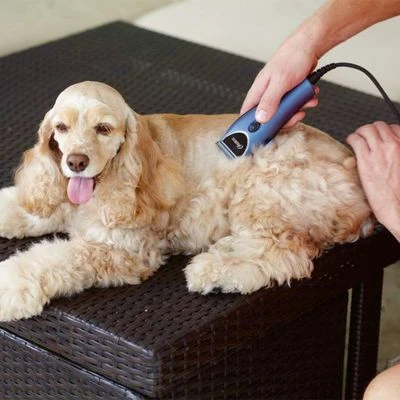 Set Máquina Cortapelo Para Mascotas Oster 220 V 14 Set Máquina Cortapelo Para Mascotas Oster 220 V - Imagen 12