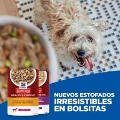 Hill's Science Plan Hill’s Puppy Medium & Large Healthy Cuisine Con Pollo Para Perros -Gatos Perros Suministros Tienda 606601 11 1 1