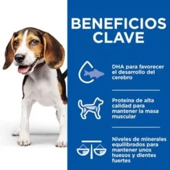 Hill's Science Plan Hill’s Puppy Medium & Large Healthy Cuisine Con Pollo Para Perros -Gatos Perros Suministros Tienda 606601 9 4