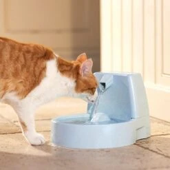 Fuente De Agua Para Mascotas Drinkwell Original De PetSafe -Gatos Perros Suministros Tienda 60939 dw o trinkbrunnen 1 5 hs 02 5