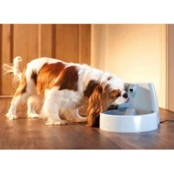 Fuente De Agua Para Mascotas Drinkwell Original De PetSafe -Gatos Perros Suministros Tienda 60939 dw o trinkbrunnen 1 5 hs 03 0
