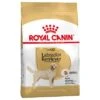 Royal Canin Labrador Retriever Adult -Gatos Perros Suministros Tienda 61151 pla royalcanin adulthund labradorretriever 0