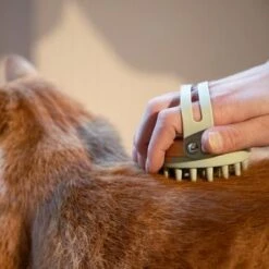 Kooa Cepillo Masajeador Para Gatos 19 Kooa Cepillo Masajeador Para Gatos -Gatos Perros Suministros Tienda 62207 20 kooa haustierbuerste hpc2208 1000x 6