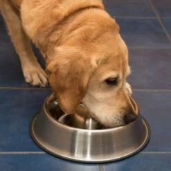 Comedero Antivoracidad De Acero Para Perros -Gatos Perros Suministros Tienda 66349 antischlingnapf fg 1011 1