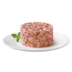 Megapack Gourmet Gold Tartelette 48 X 85 G -Gatos Perros Suministros Tienda 69003 purina gourmet gold raffiniertes ragout mit thunfisch 7