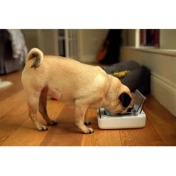 Comedero Hermético SureFeed 17 Comedero Hermético SureFeed -Gatos Perros Suministros Tienda 69308 pla 6 luftdichte futt 3