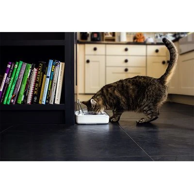 Comedero Hermético SureFeed 9 Comedero Hermético SureFeed - Imagen 7