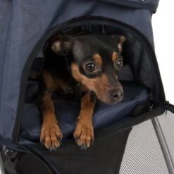 Cochecito Para Mascotas Pequeñas Sporty Pet Stroller -Gatos Perros Suministros Tienda 71006 sporty pet stroller fg 8107 6