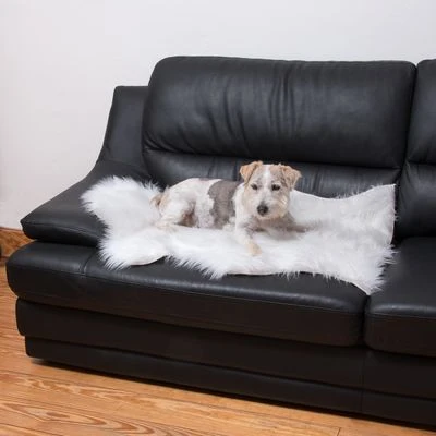 Smartpet Alfombra Para Perros Y Gatos 11 Smartpet Alfombra Para Perros Y Gatos - Imagen 9