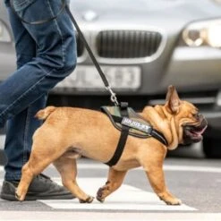 Julius K9 Arnés Julius-K9 IDC®-Power Camuflaje Para Perros -Gatos Perros Suministros Tienda 73991 julius k9 idc powergeschirr camouflage hs7 8