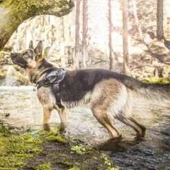 Julius K9 Arnés Julius-K9 IDC®-Power Camuflaje Para Perros -Gatos Perros Suministros Tienda 74075 julius k9 idc powergeschirr camouflage 1 1